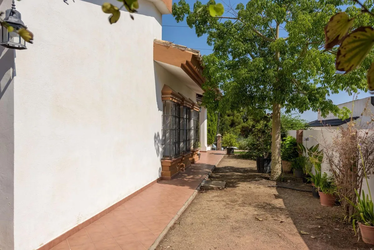 e63181ee-6c76-4bf1-9da2-2fb9d9077246