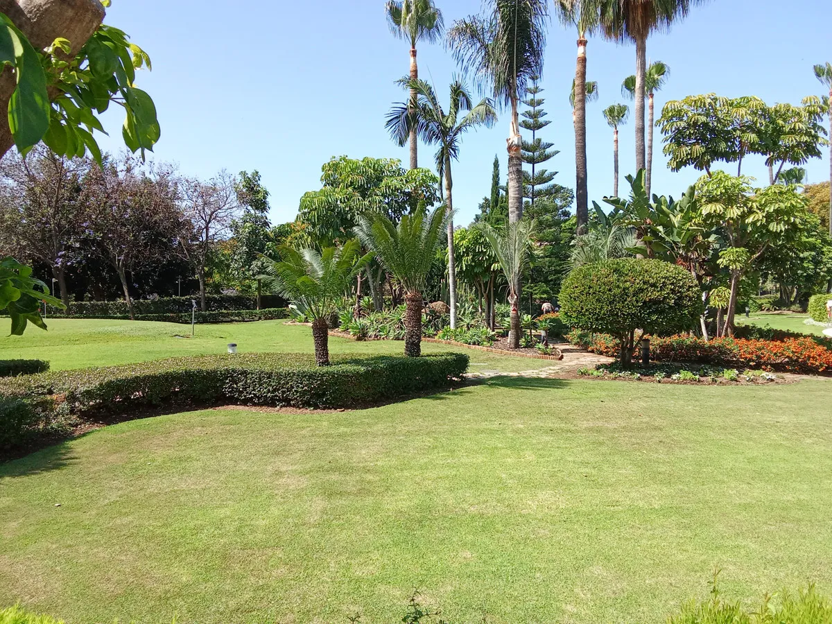 de51e89a-4422-416e-9be8-136d1ff2f435