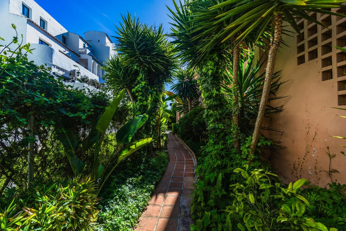 557cf18f-d444-4687-bbc1-aa6c785f9338