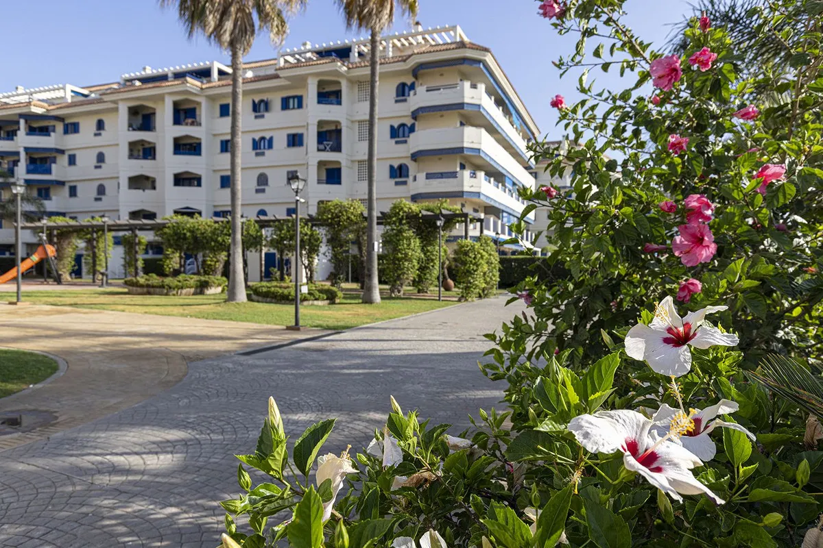 ef2f7438-2a42-415a-afd4-1e20d38ca426