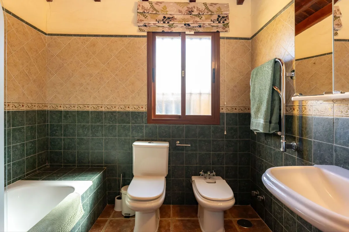 37eb9f66-5406-4368-8813-02c3e6821fdf