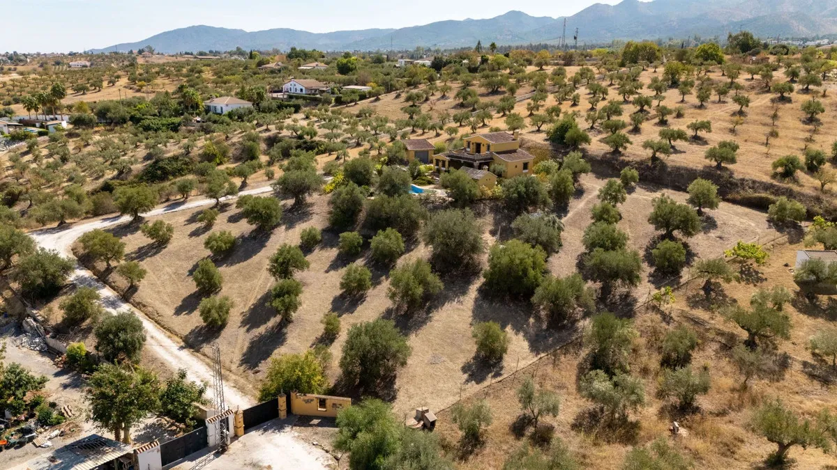 91e43f11-a207-4e22-b3e9-4f38ff3b1da6