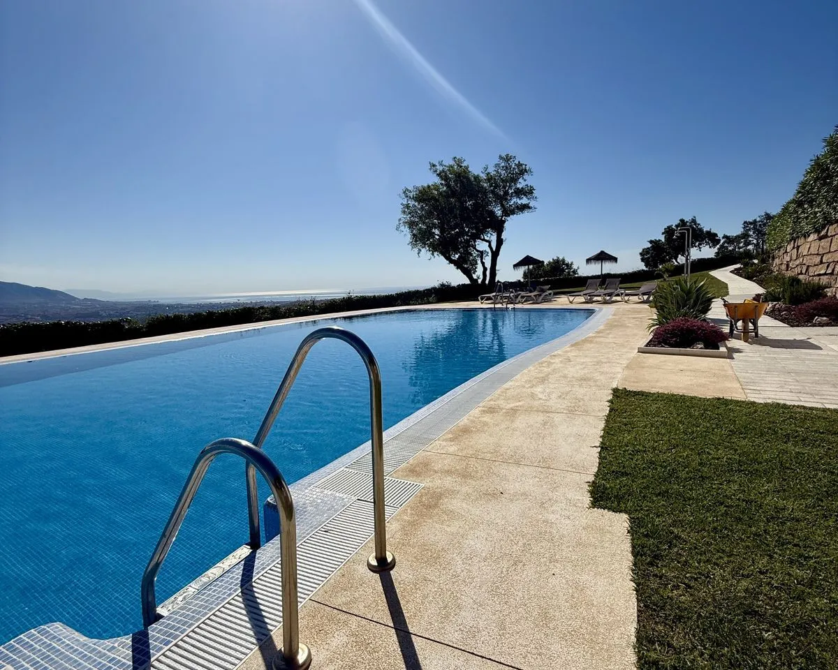 d54e307f-f21c-41c6-8316-80d2ff8a8a97