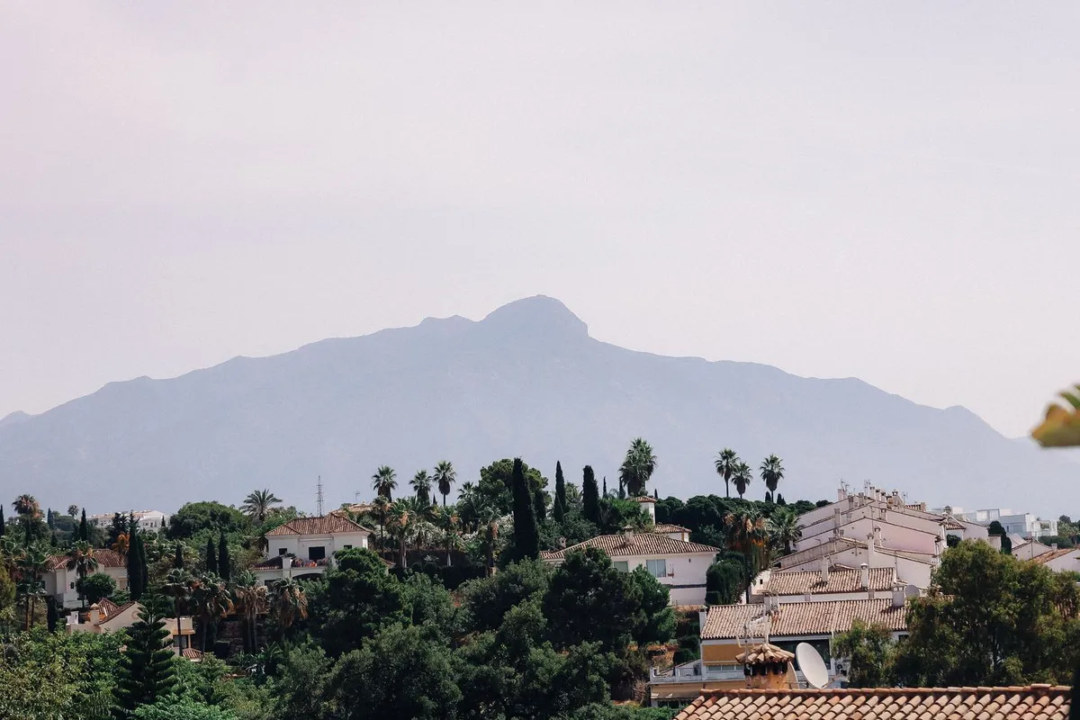 b5a47843-f538-4b61-956d-59df3251b32f