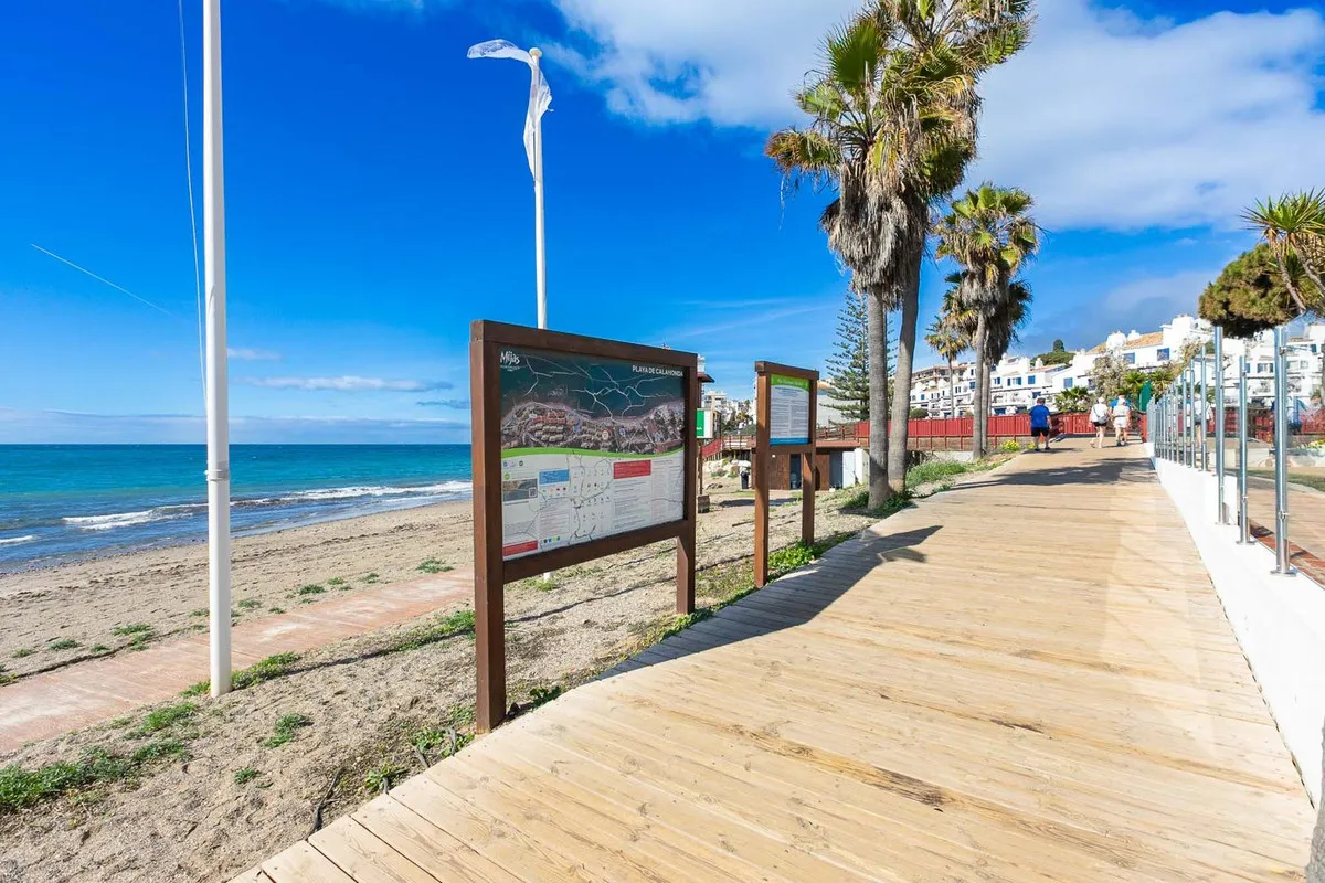 d1c50a5c-5878-4516-9689-7859580f8454