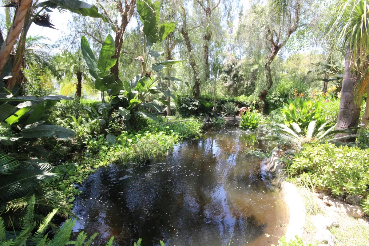 23b2a855-2e39-4934-9b89-cb91e3d61e85