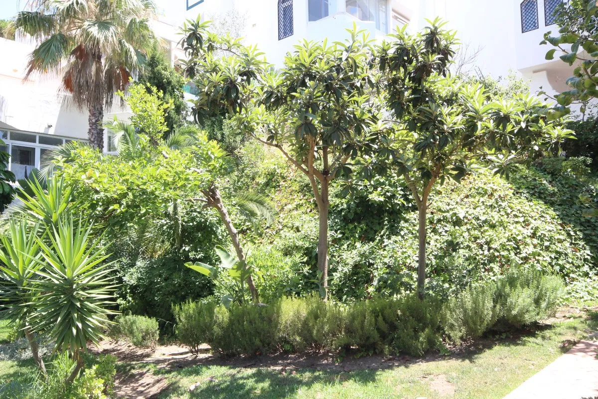 86ad29f6-0658-4caa-9590-a77edf8c1c6c