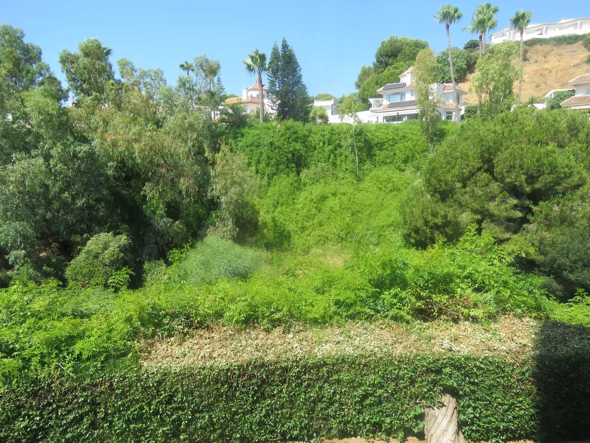 8d79102c-1066-48ed-ab51-d2a9e86ef405