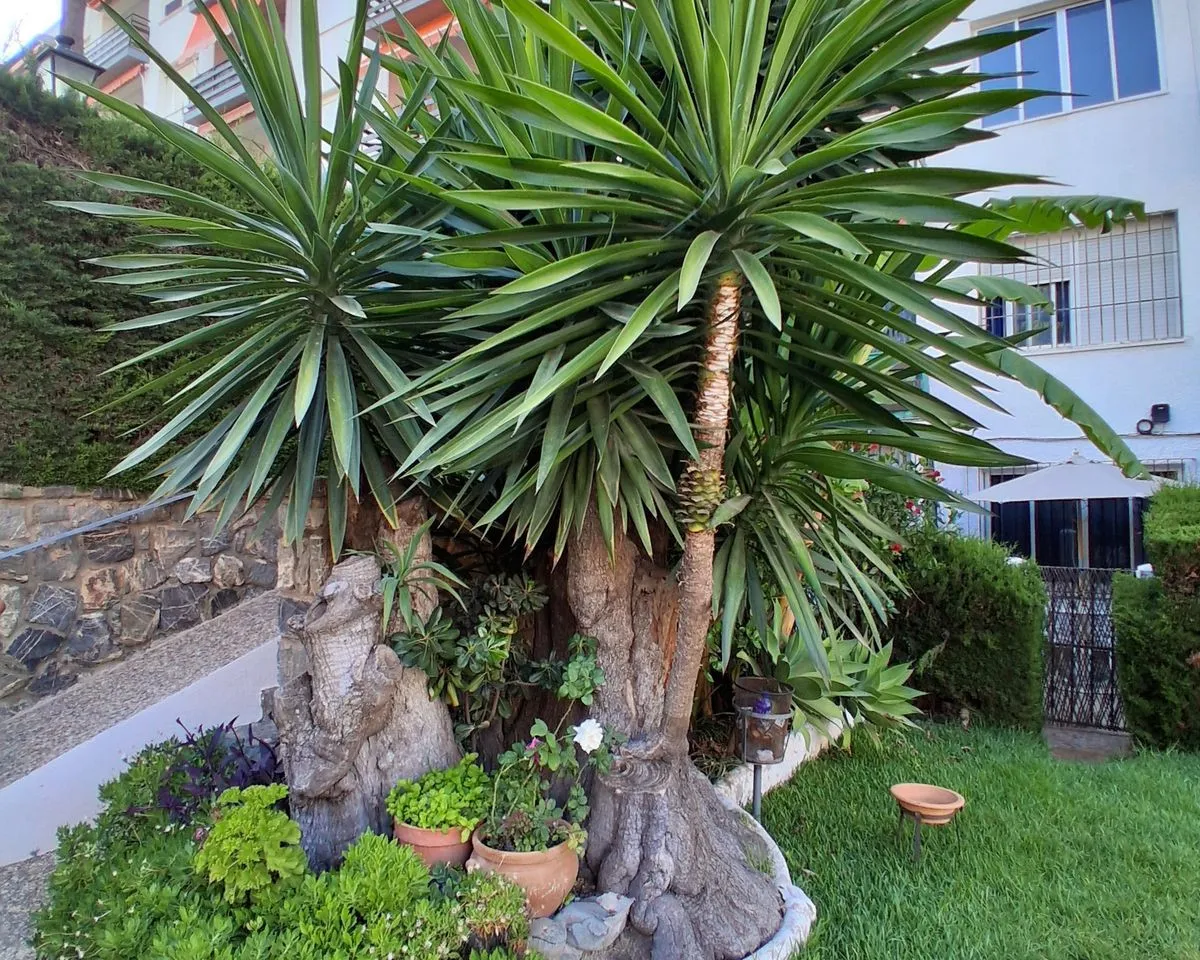 ded37155-8965-4d1f-bb83-51fe20fb5f12