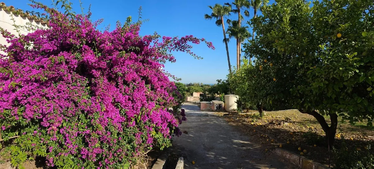 034bbce9-7b2d-40e5-9dfc-78c1c06eb350