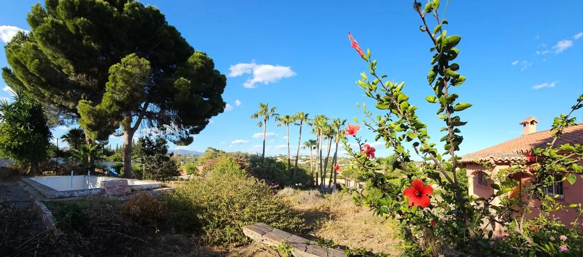 8c70006d-9296-433a-a9b1-d7113d3c660e