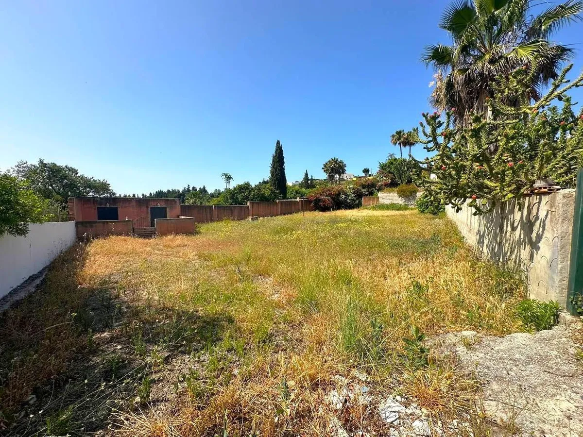 b743dc39-dba0-46a0-8068-cd9eb8adeaf9