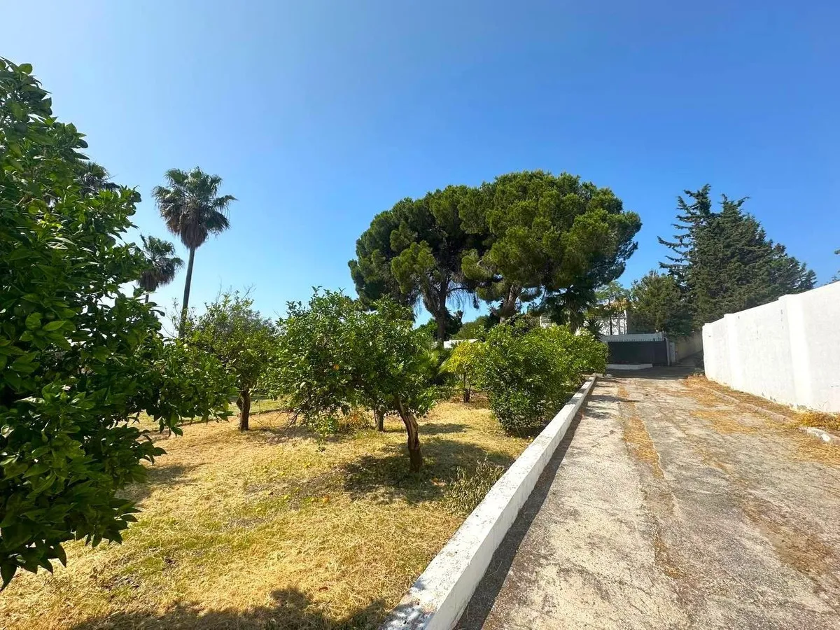 ce07ebcf-b21d-4ee1-bfe4-c21ab67c38d2