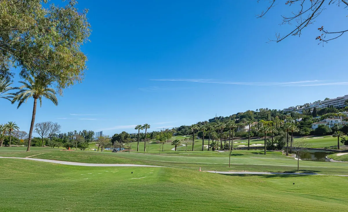 95ac6d89-ff5c-47ce-9f5f-4afb69ce3de8