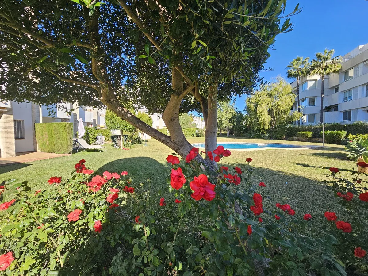 97fb8164-065c-4988-b449-8d02fad47da2