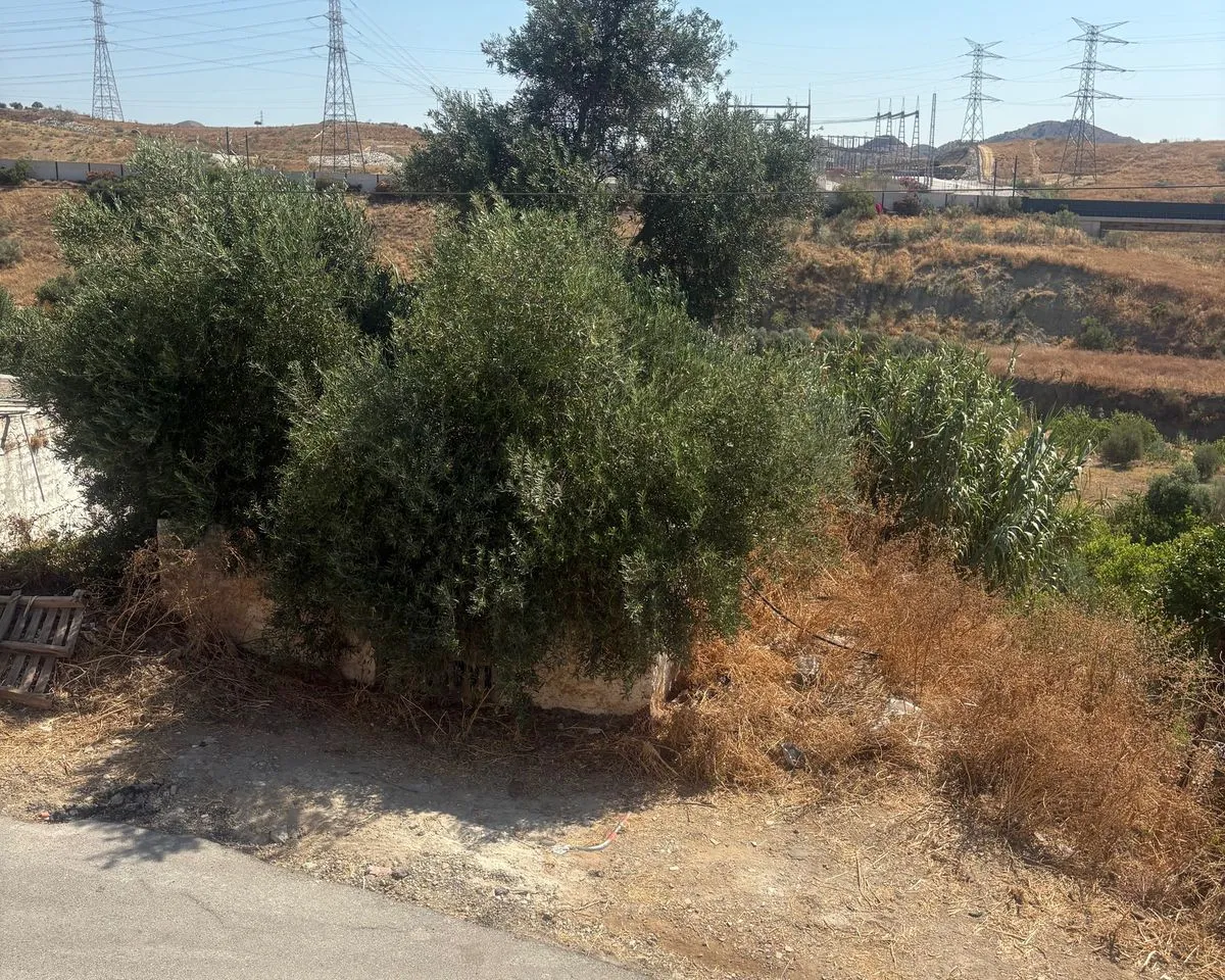 6cb5ed98-d07c-432c-ab61-b33ba67c1f06