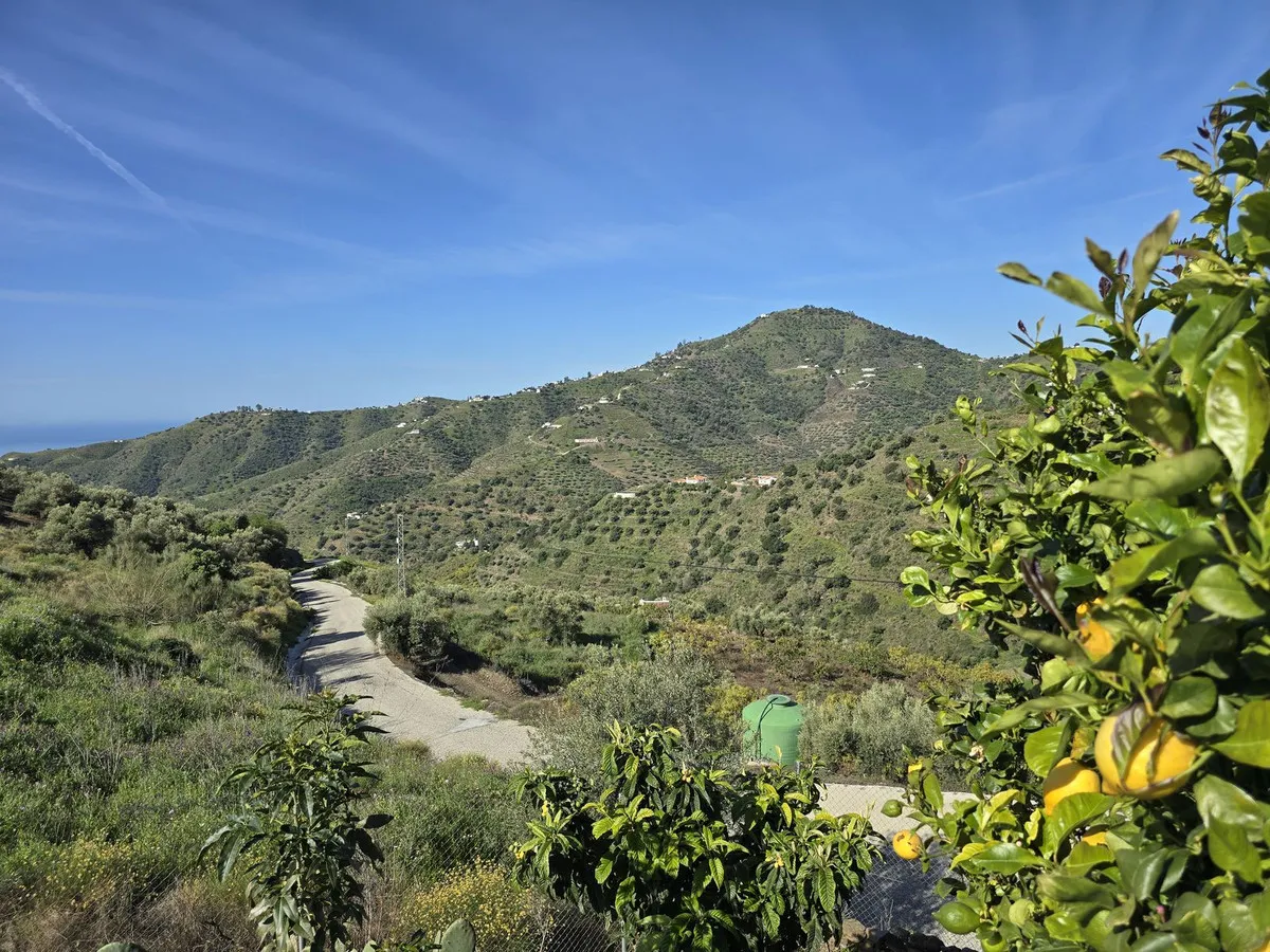 c34a9dca-876b-45fd-8133-16b98fb386aa