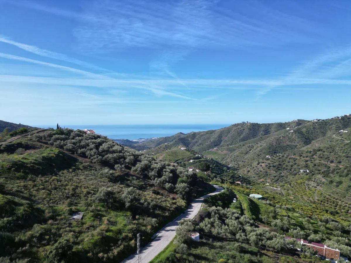 da919a88-df50-4e7e-9e60-5edd08091c2e