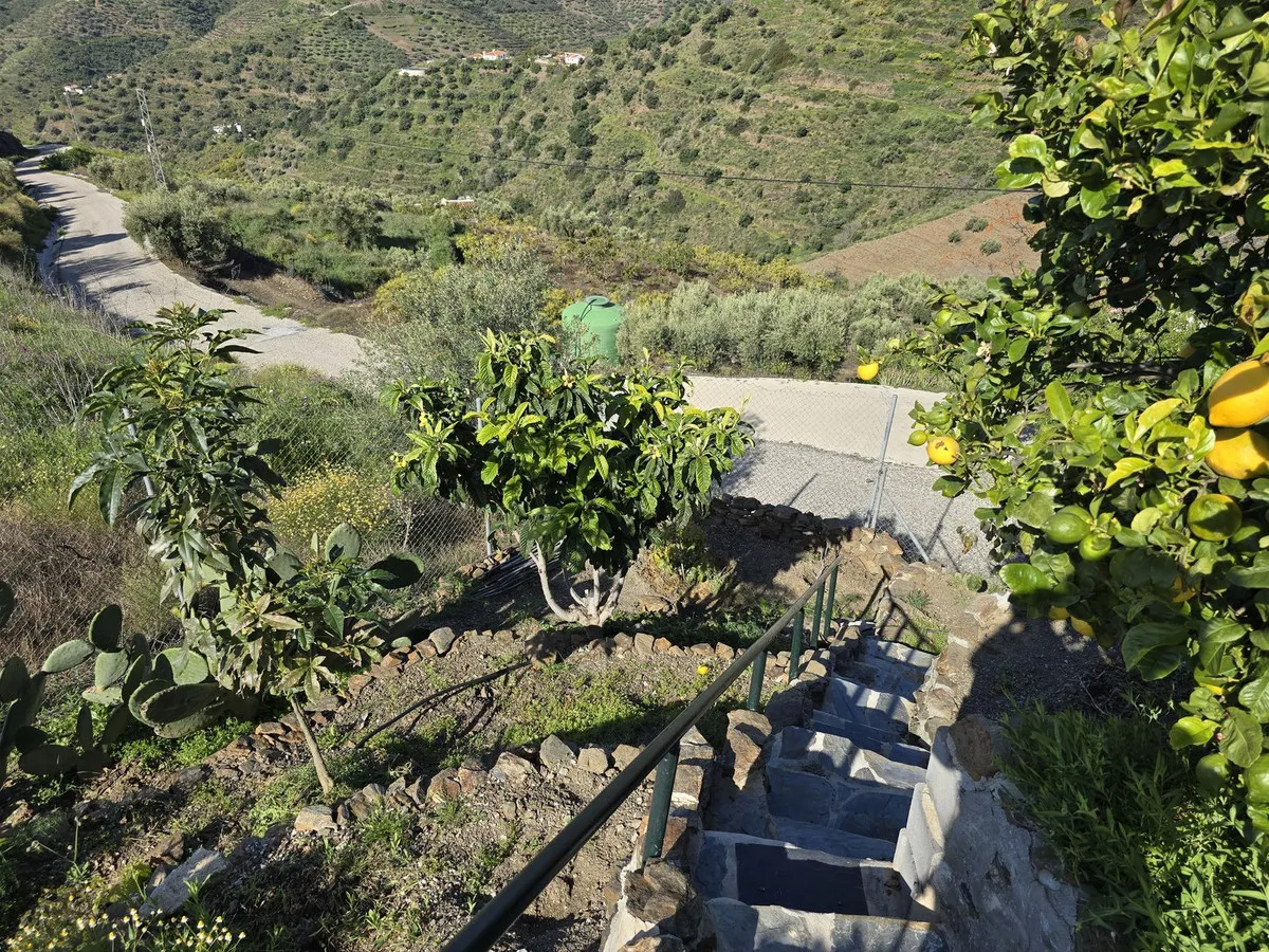 df7c7ca9-7158-4333-9494-6a6c56aa5cfd