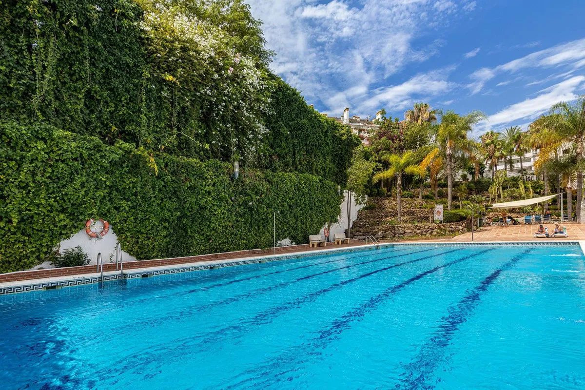 9085e8c3-2404-4ea2-b92c-b4837959989e