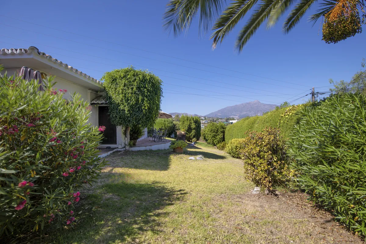 c07ccd38-6acd-436a-8291-cb45f01f7064