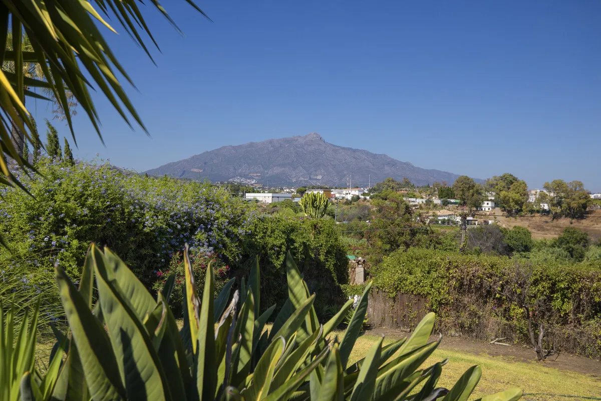 d2347c09-a383-4d7c-b343-3a5354b3fa87