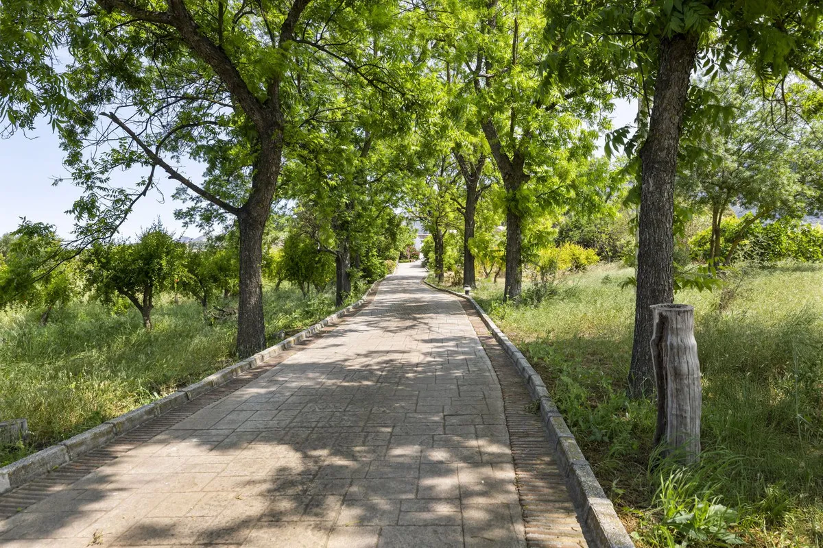 68cc3060-8d35-496f-879d-40869a193c37