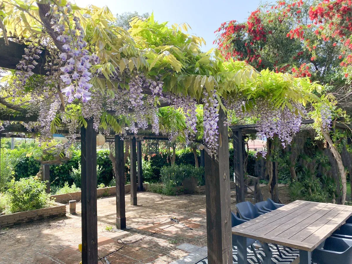 808bd83a-d512-4000-bf95-3de83bfa947c