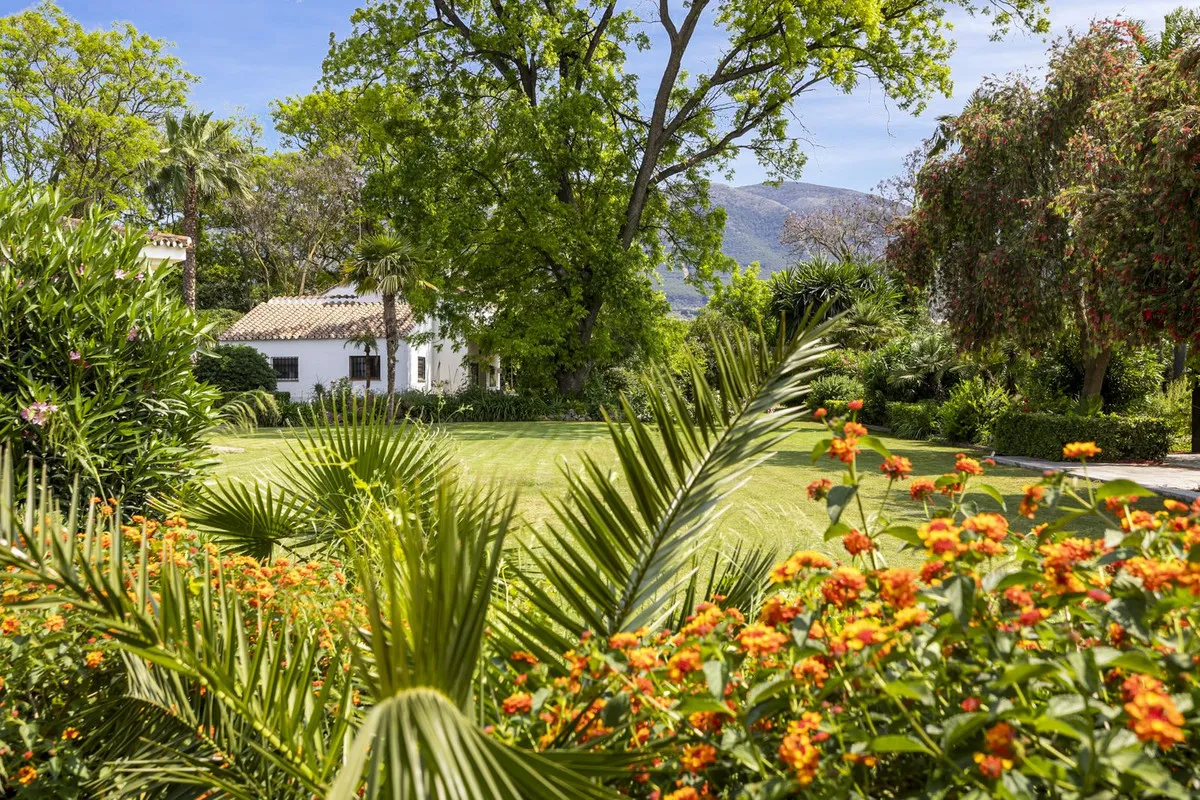 af20c758-a1d6-4957-be92-9e0c5f1a774d