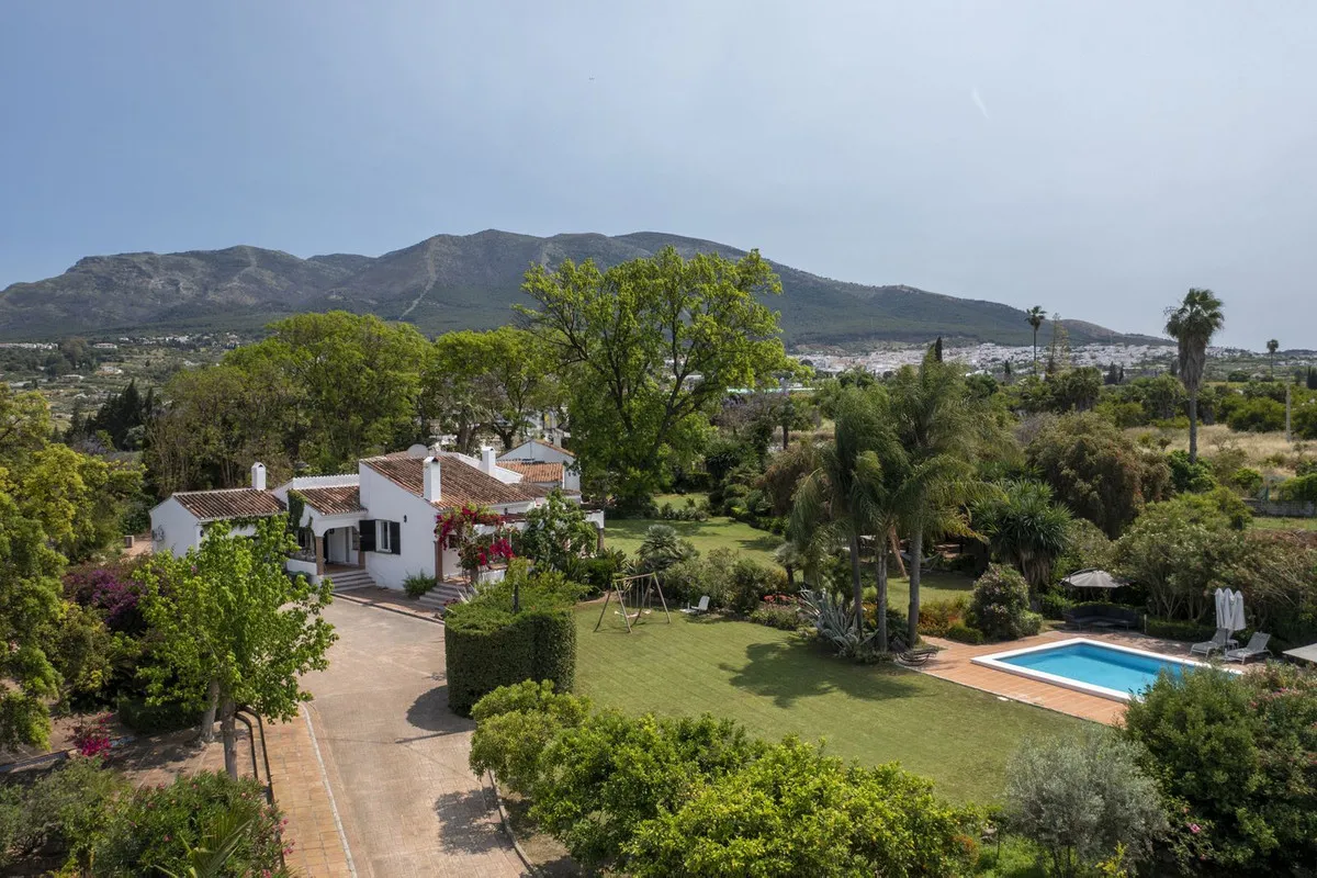 d5162152-d3d1-4a83-919e-627e9d31c97c