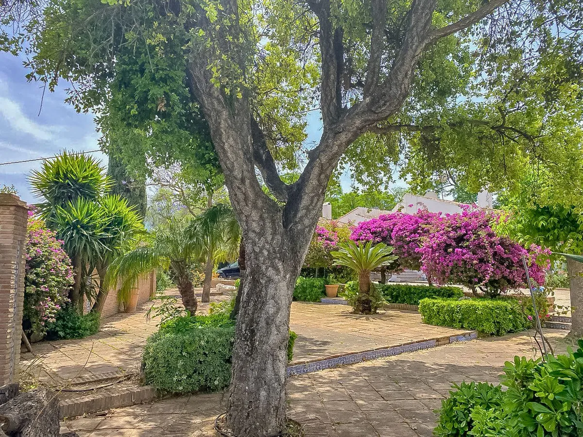 e194a1d9-01eb-4017-a108-1fa4b74c5252