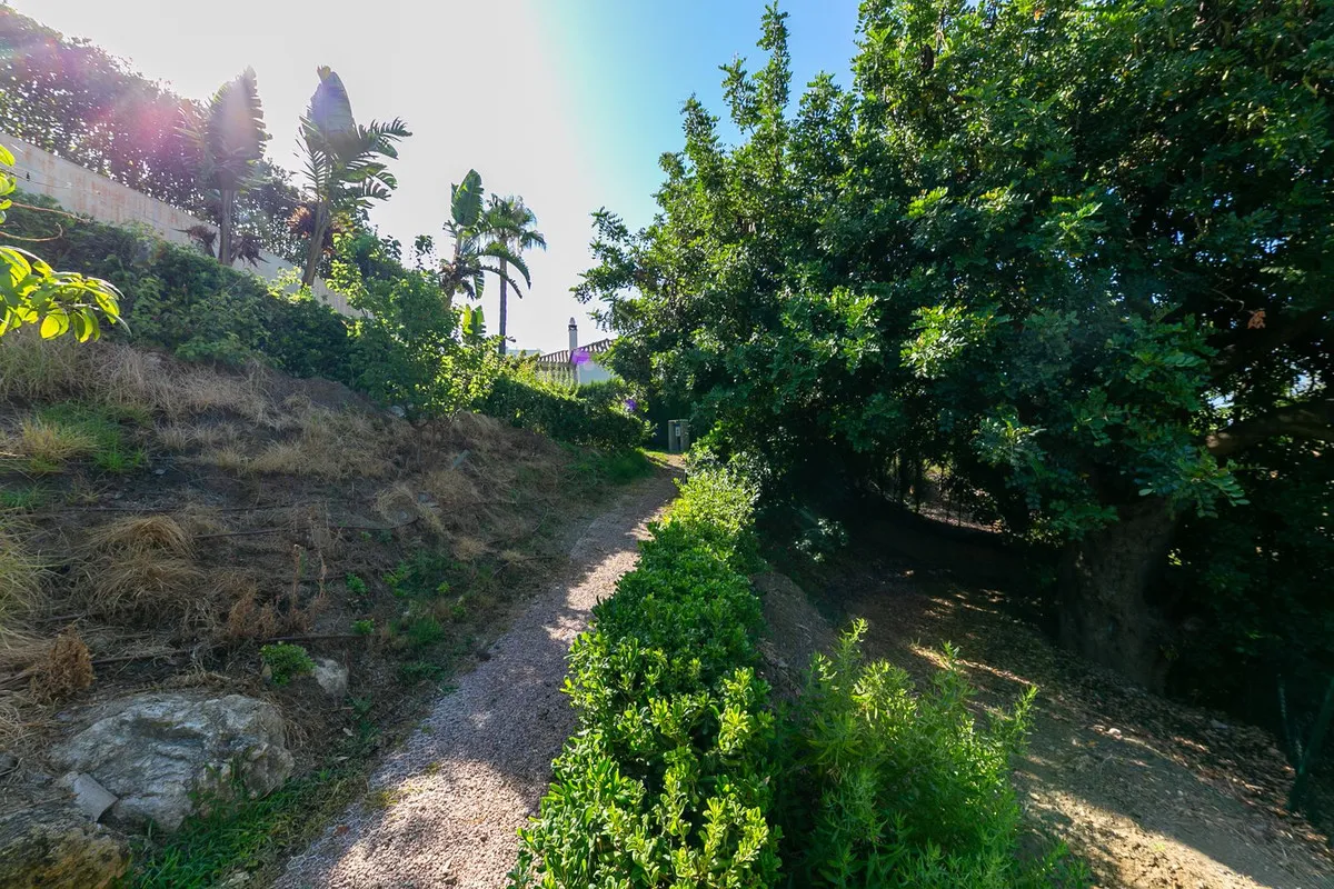 31f0b55b-0d53-4007-ba6a-62025459f42a