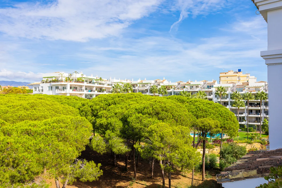 ec466262-da4a-4ace-ab6f-470619f02437