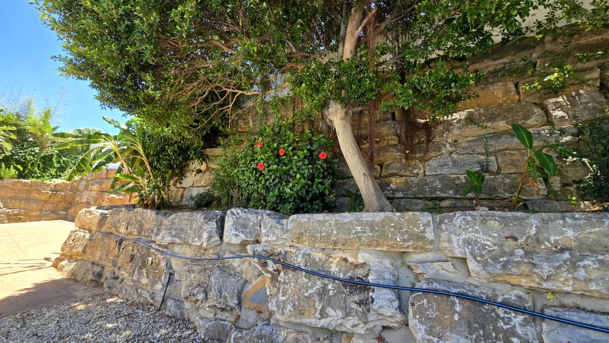 64a08014-9dc3-4535-bcd5-bccfe0476d60