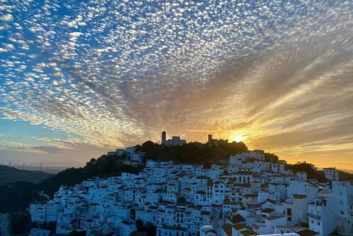 bb4582a4-a8c5-4b88-818d-8a50819d15ce