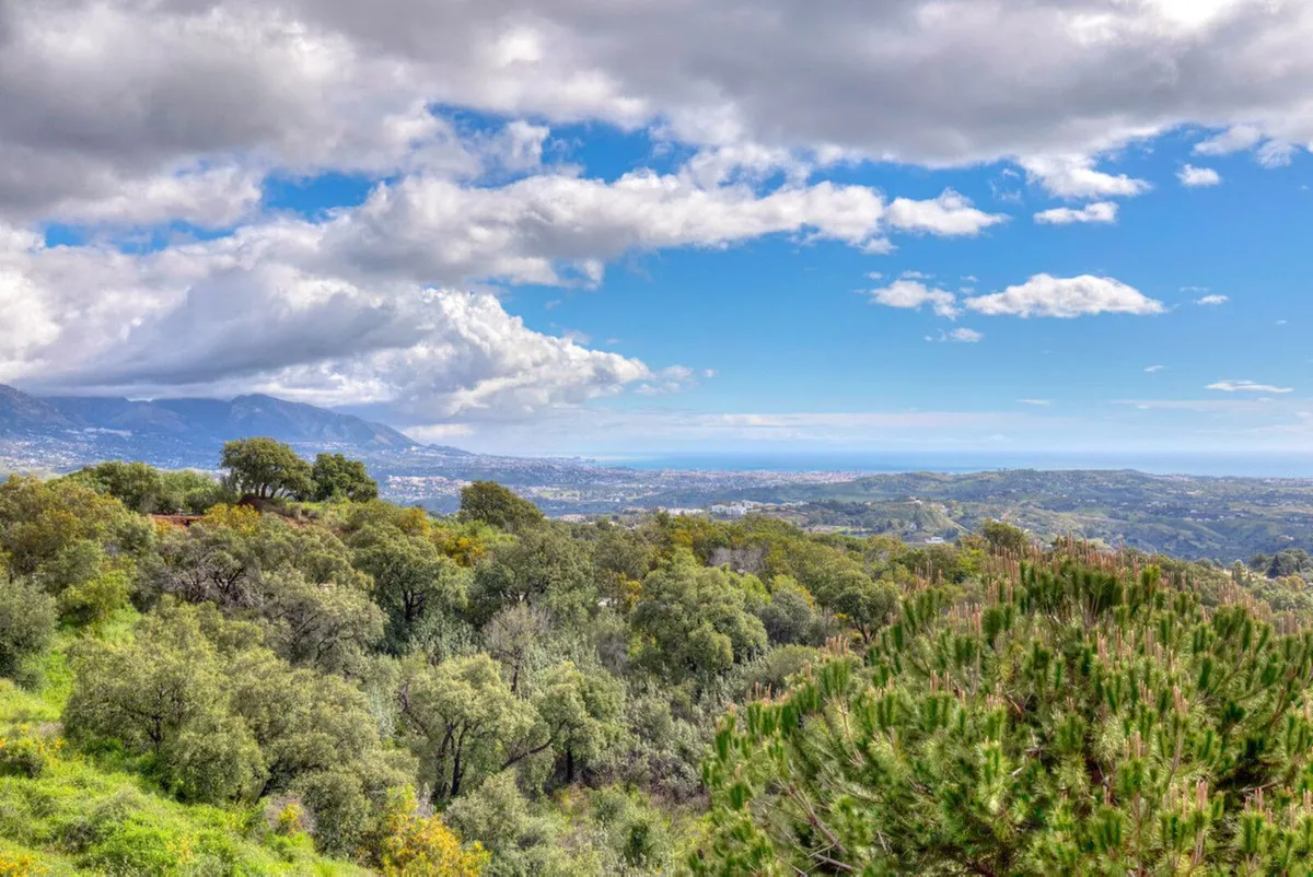 391ba88a-85f8-4b11-ab30-6038ea0e84b8