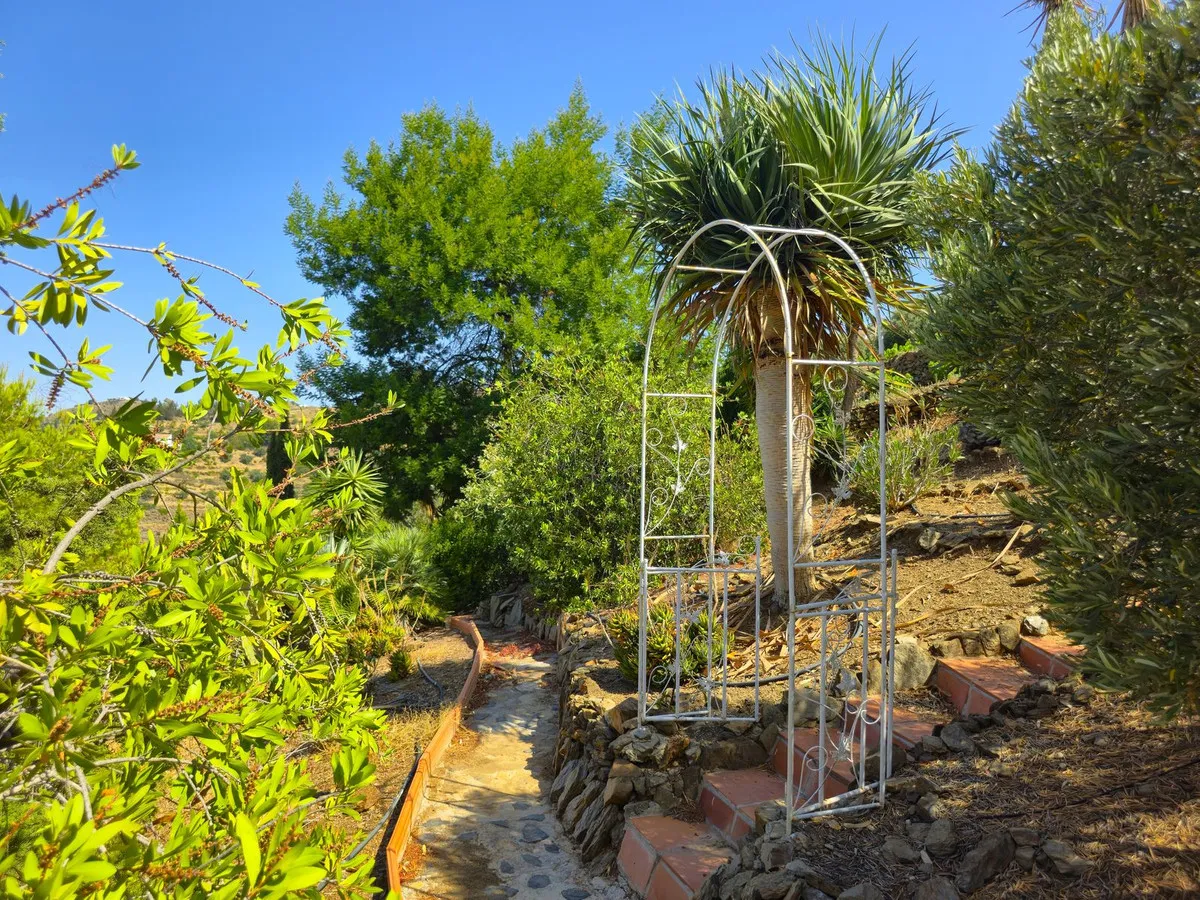 85d7867f-4587-408f-80b7-29249521398b