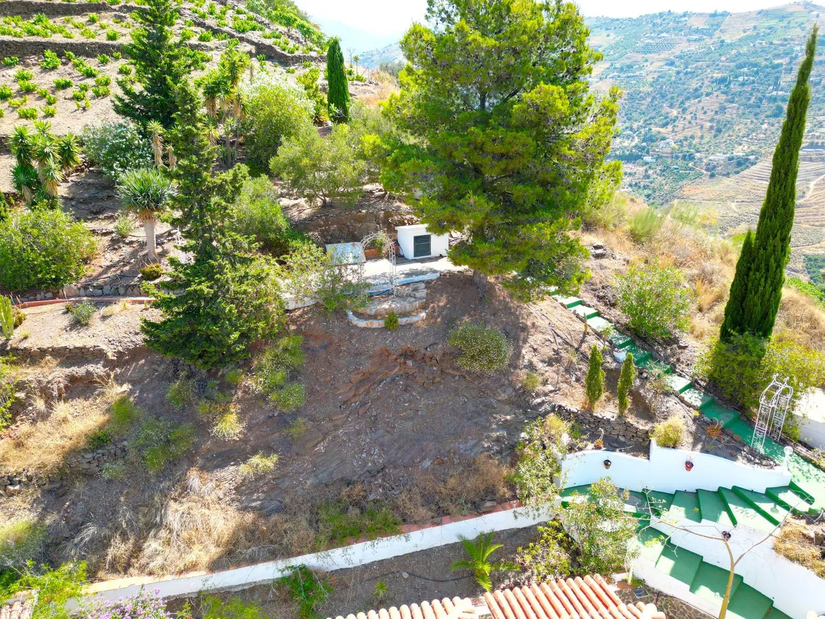 b01f2f63-2c14-49c0-b337-fd35eb765541