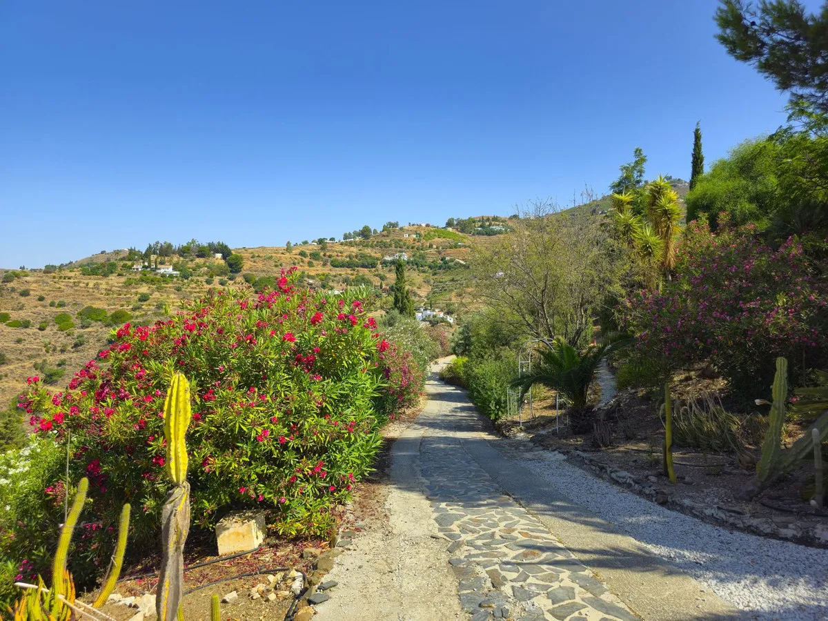 e51e67e6-7bff-4839-8f7b-9014c7f74877