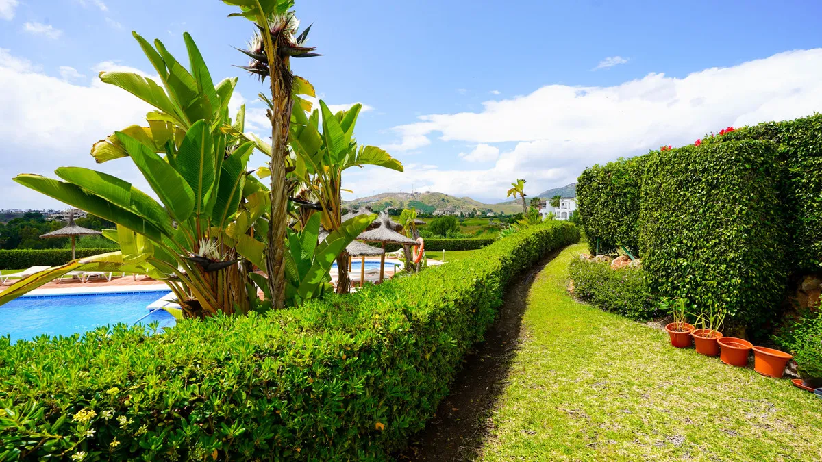 411e0e87-0df6-4ae9-8c89-042c5f45a7c7