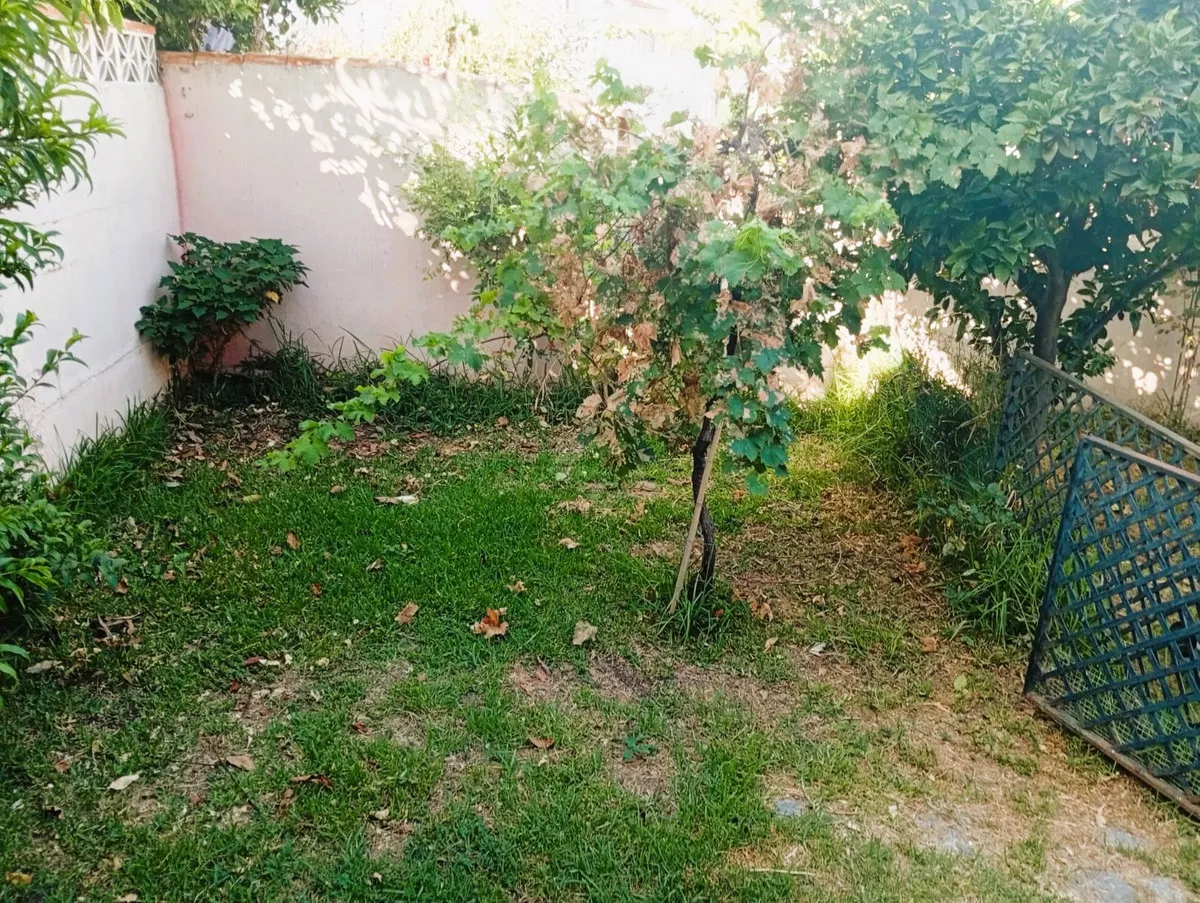 11885f15-9c7f-4f33-8ffe-8a79acca0406