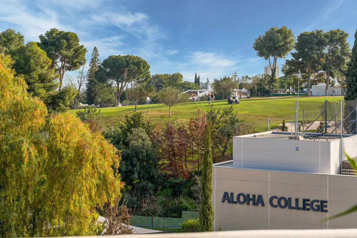 46e2c485-08fe-49ce-bccf-f5f3d84a2b76