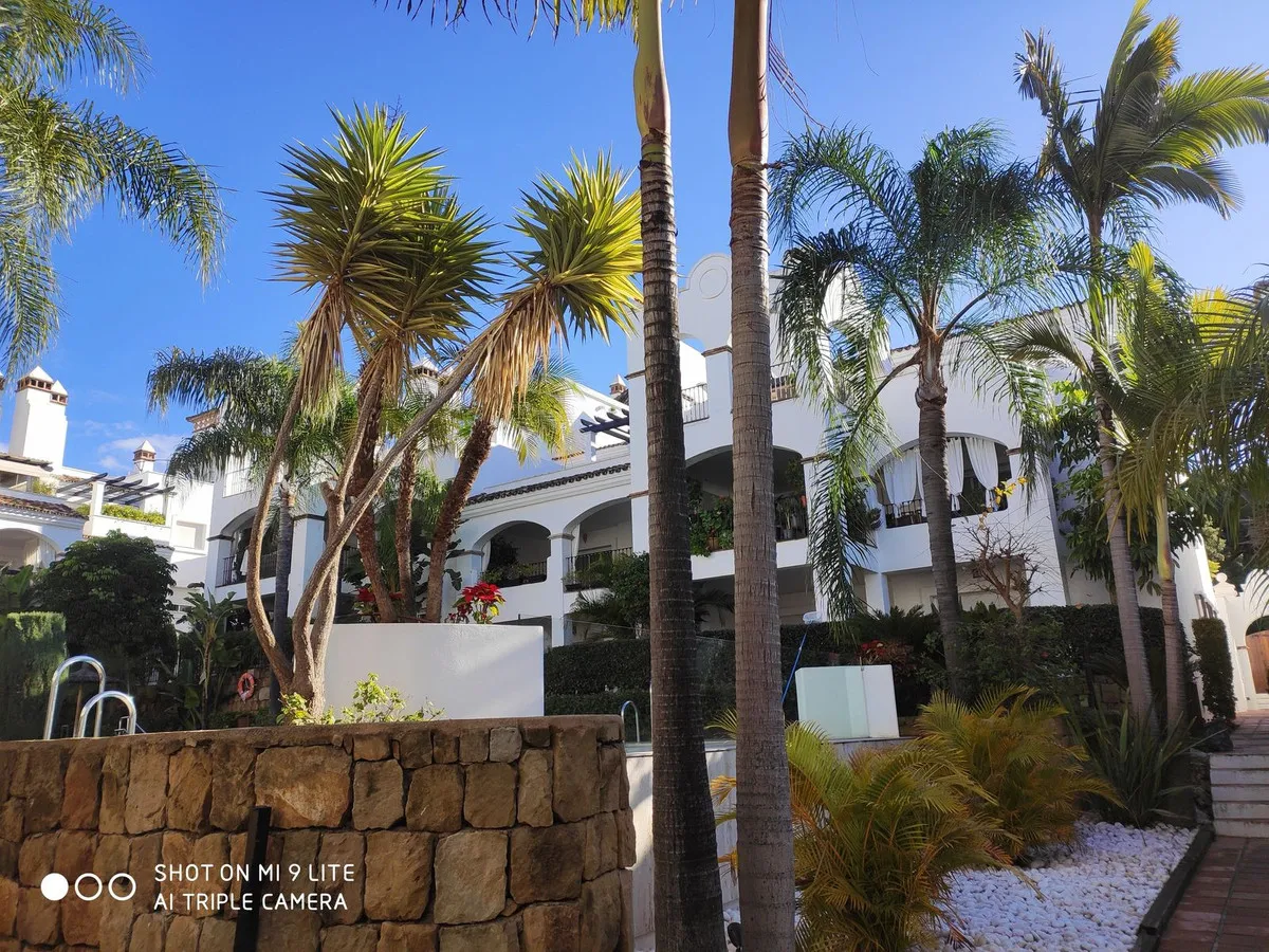 78ded323-f03a-4cc2-9720-db843ef54cea