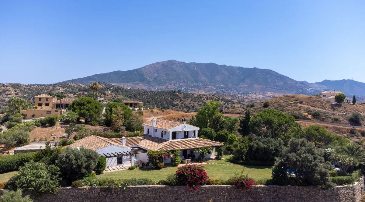 ffd8c35b-1e7d-4130-b484-ef677171802c