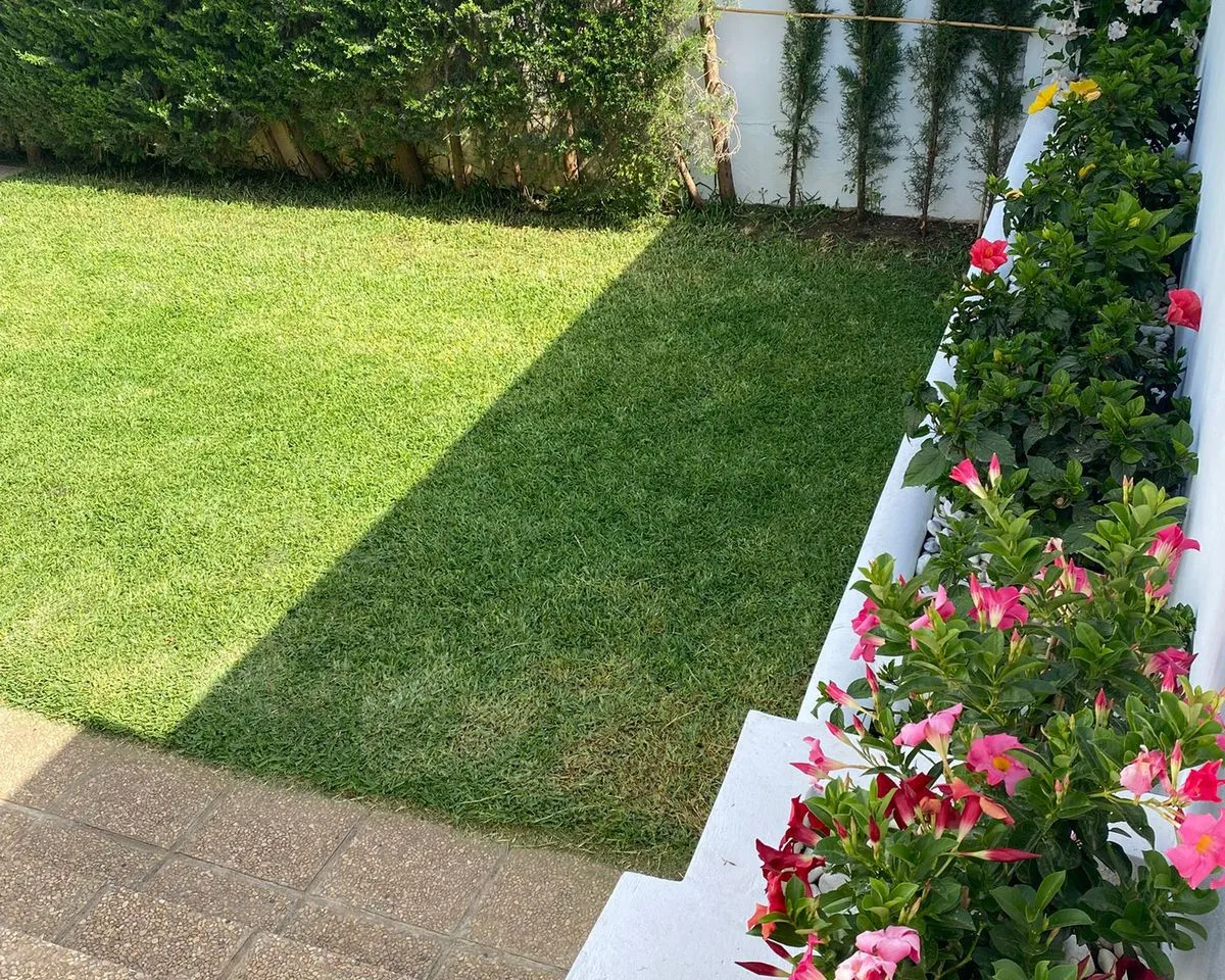 ccd88296-b3da-46fa-83cf-57b8cf339753