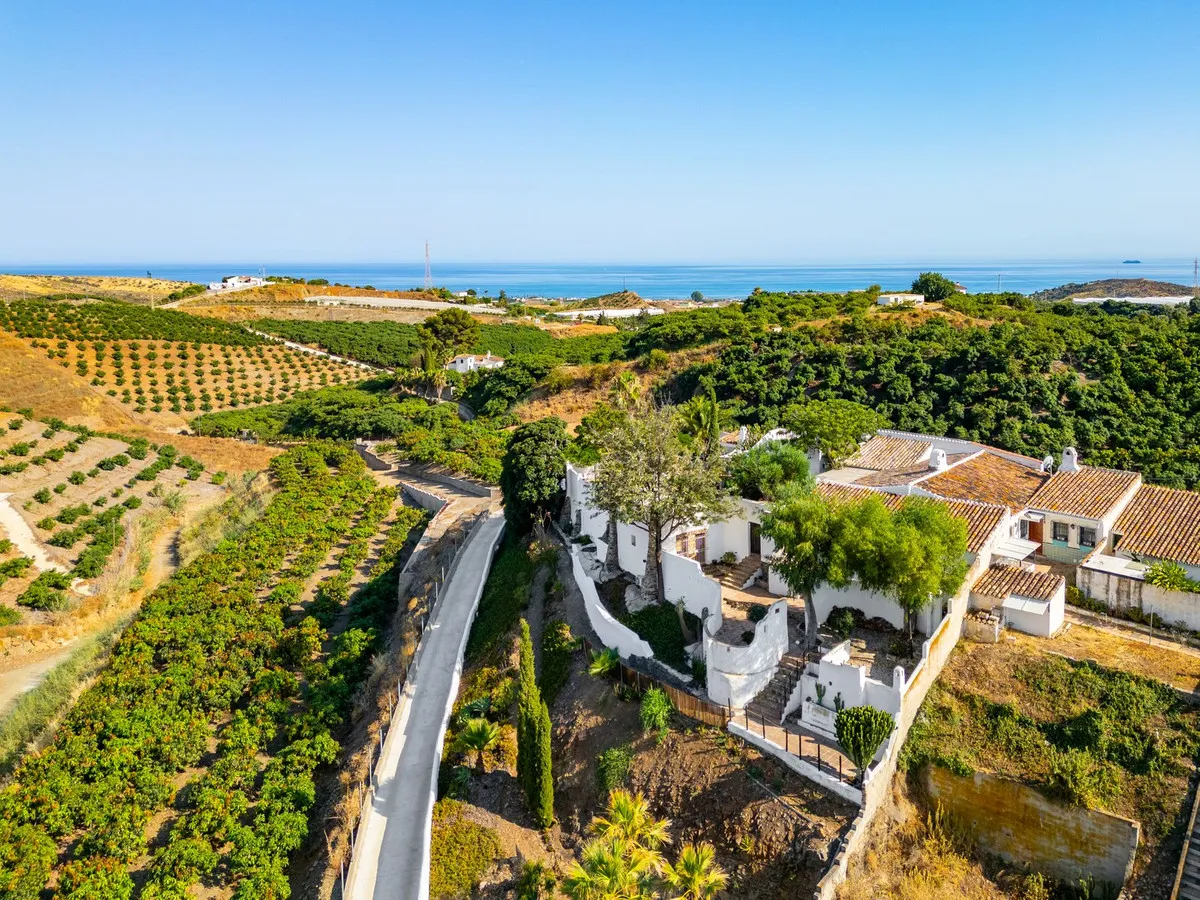 3e8037d2-aa07-4a61-8186-a4de959a7a30