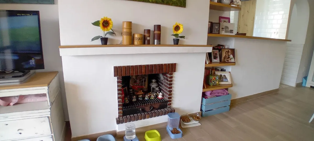 e8898916-4ec8-4835-b843-1c66096a6c8d