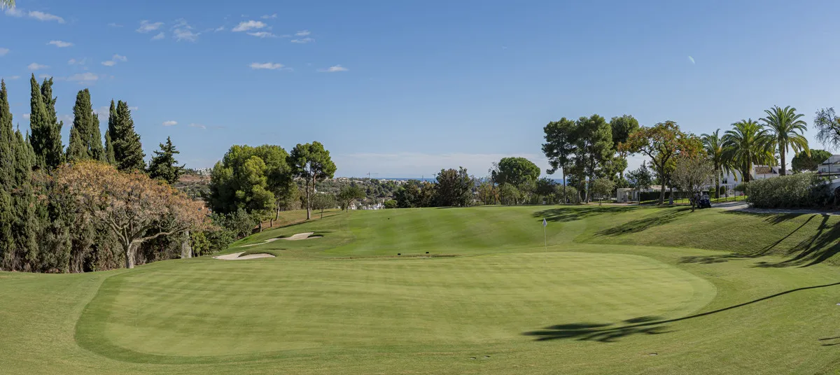 b22a7126-bf52-40ba-9489-4a6607976ed1