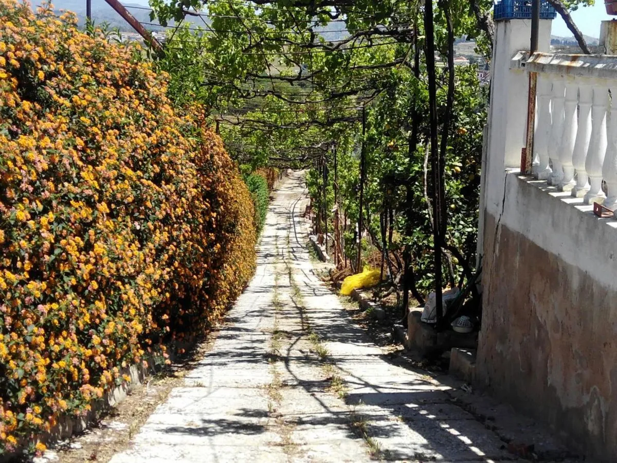 0bacd066-d441-478d-958c-8633f1f61930