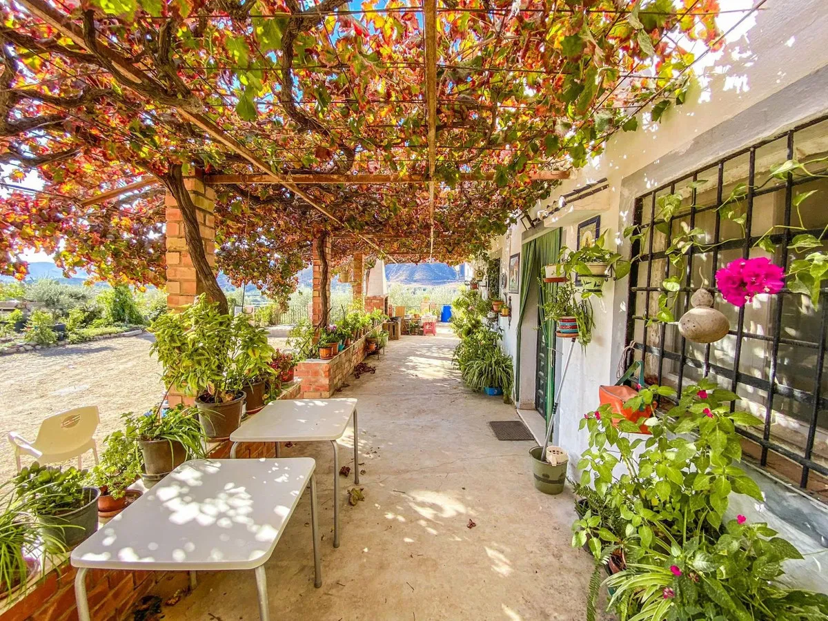 91a10878-a33b-4d43-a82c-5d368e2197cb